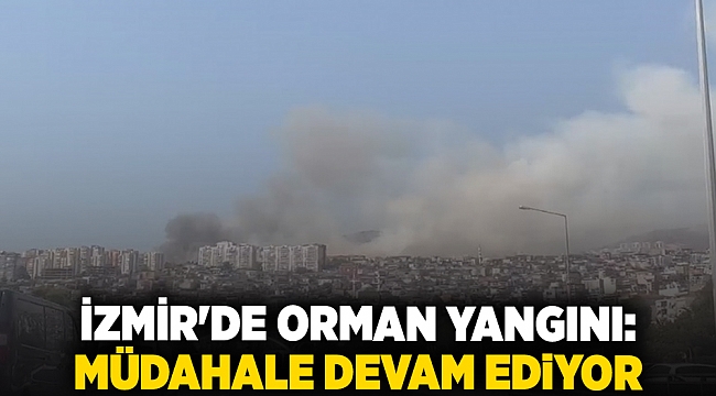 İzmir'de orman yangını: Müdahale devam ediyor