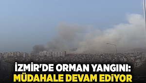 İzmir'de orman yangını: Müdahale devam ediyor