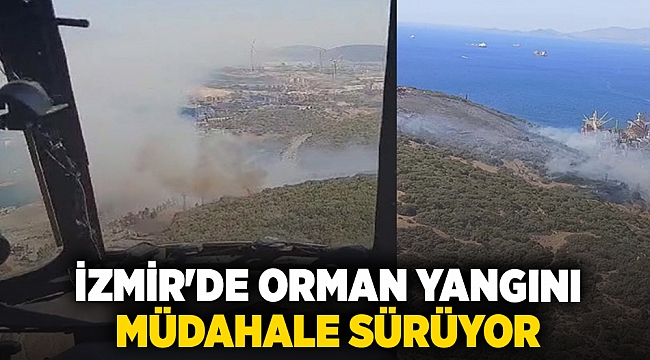 İzmir'de orman yangını müdahale sürüyor