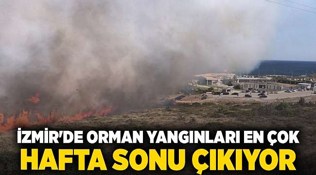 İzmir'de Orman yangınları en çok hafta sonu çıkıyor