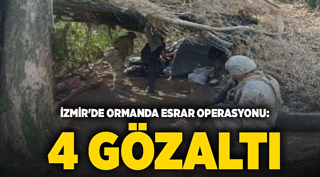 İzmir'de ormanda esrar operasyonu: 4 gözaltı