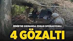 İzmir'de ormanda esrar operasyonu: 4 gözaltı