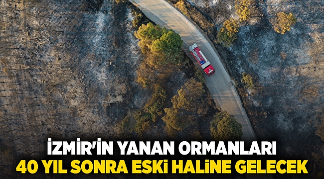 İzmir'in yanan ormanları 40 yıl sonra eski haline gelecek