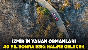 İzmir'in yanan ormanları 40 yıl sonra eski haline gelecek