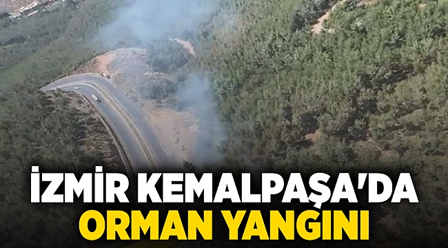 İzmir Kemalpaşa'da orman yangını