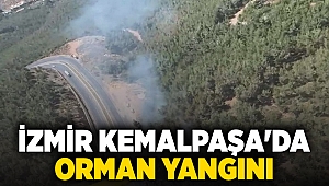 İzmir Kemalpaşa'da orman yangını