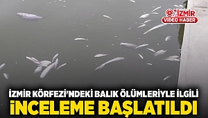 İzmir Körfezi'ndeki balık ölümleriyle ilgili inceleme başlatıldı