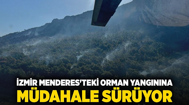 İzmir Menderes'teki orman yangınına müdahale sürüyor