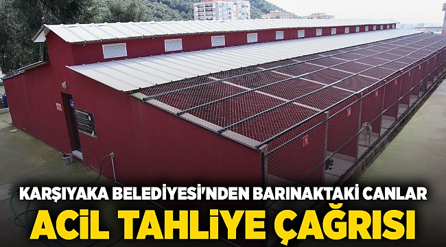 Karşıyaka Belediyesi'nden barınaktaki canlar Acil Tahliye Çağrısı