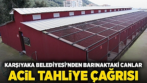 Karşıyaka Belediyesi'nden barınaktaki canlar Acil Tahliye Çağrısı