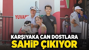 Karşıyaka can dostlara sahip çıkıyor