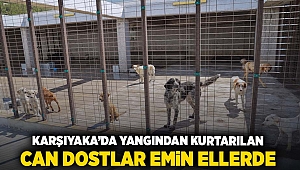 Karşıyaka’da yangından kurtarılan can dostlar emin ellerde