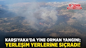 Karşıyaka'da yine orman yangını; Yerleşim yerlerine sıçradı!