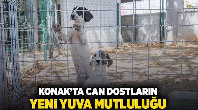 Konak’ta can dostların yeni yuva mutluluğu