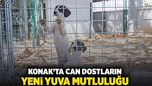 Konak’ta can dostların yeni yuva mutluluğu