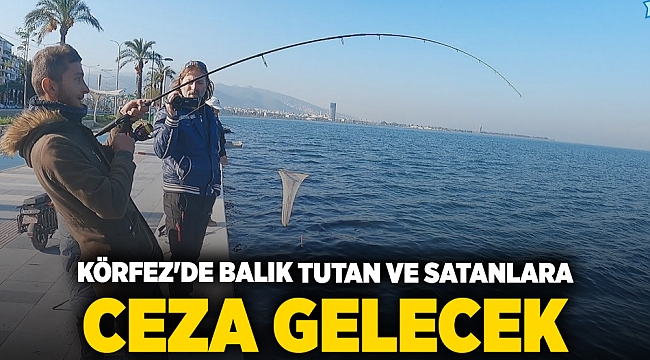 Körfez'de balık tutan ve satanlara ceza gelecek