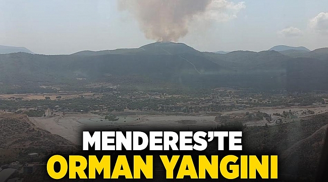 Menderes ilçesinde orman yangını