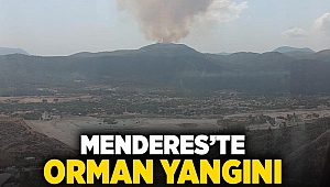 Menderes ilçesinde orman yangını