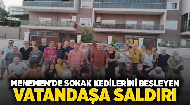 Menemen'de sokak kedilerini besleyen vatandaşa saldırı