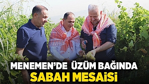 Menemen'de üzüm bağında sabah mesaisi