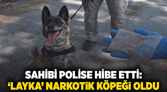 Sahibi polise hibe etti: ‘Layka’ narkotik köpeği oldu