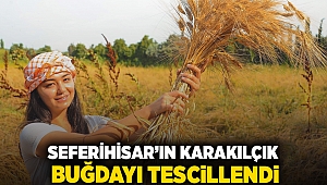 Seferihisar’ın Karakılçık Buğdayı Tescillendi