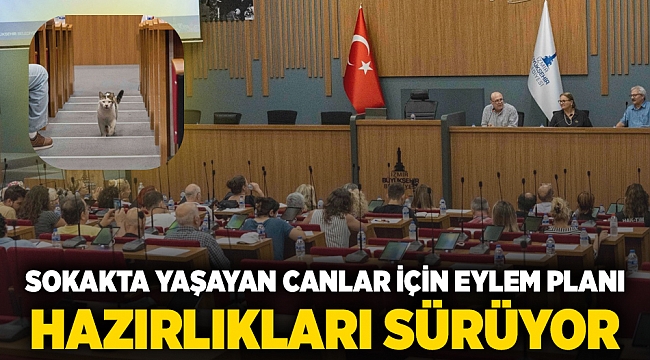 Sokakta yaşayan canlar için eylem planı hazırlıkları sürüyor