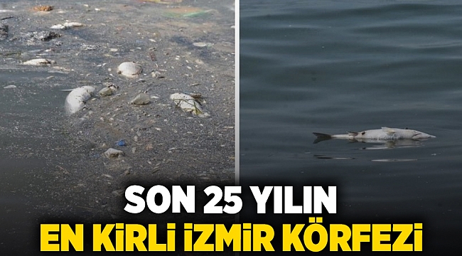 Son 25 yılın en kirli İzmir Körfezi