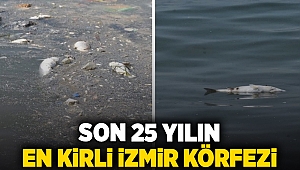 Son 25 yılın en kirli İzmir Körfezi