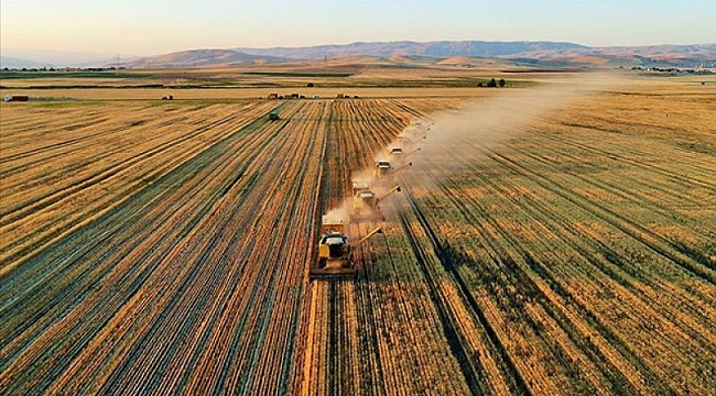 Tarım ÜFE temmuzda aylık bazda yüzde 1,74 azaldı