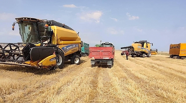 Tarımsal üretim planlaması pazarlama sorununa çözüm olacak