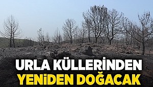 Urla küllerinden yeniden doğacak