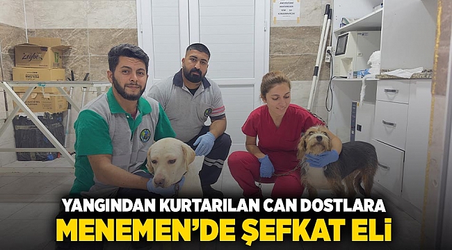 Yangından kurtarılan can dostlara Menemen’de şefkat eli