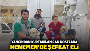 Yangından kurtarılan can dostlara Menemen’de şefkat eli