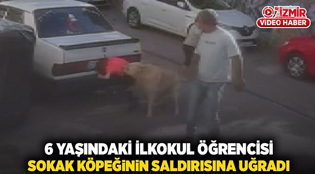 6 yaşındaki ilkokul öğrencisi sokak köpeğinin saldırısına uğradı