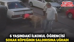 6 yaşındaki ilkokul öğrencisi sokak köpeğinin saldırısına uğradı