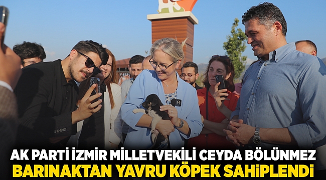 AK Parti İzmir Milletvekili Ceyda Bölünmez Çankırı Barınaktan Yavru Köpek Sahiplendi