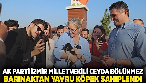 AK Parti İzmir Milletvekili Ceyda Bölünmez Çankırı Barınaktan Yavru Köpek Sahiplendi