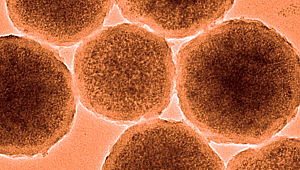 Beyin kanamasını durdurabilecek nanorobotlar üretildi