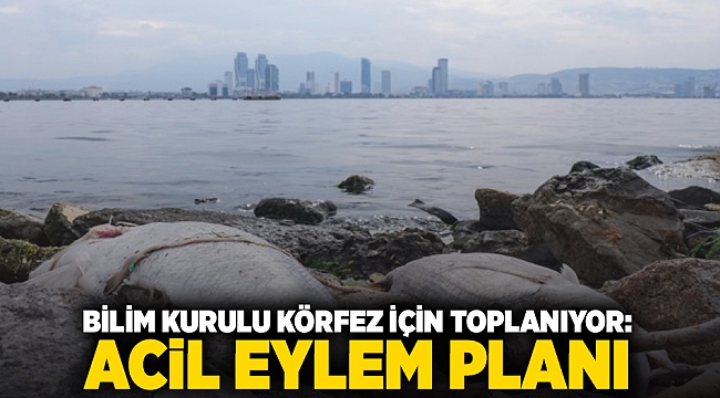 Bilim Kurulu körfez için toplanıyor: Acil Eylem Planı