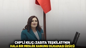 CHP'li Kılıç: Zabıta Teşkilatı'nın hala bir meslek kanunu olmaması üzücü