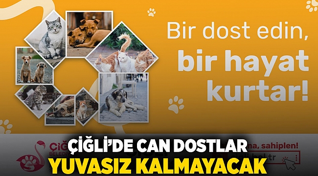 Çiğli'de Can Dostlar Yuvasız Kalmayacak