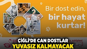 Çiğli'de Can Dostlar Yuvasız Kalmayacak