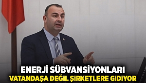 Enerji sübvansiyonları vatandaşa değil, şirketlere gidiyor