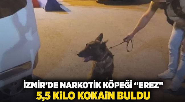 İzmir'de narkotik köpeği 'Erez' 5,5 kilo kokain buldu