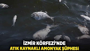 İzmir Körfezi'nde atık kaynaklı amonyak şüphesi