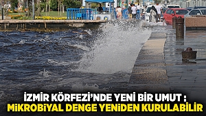 İzmir Körfezi’nde yeni bir umut: Mikrobiyal denge yeniden kurulabilir