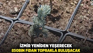 İzmir yeniden yeşerecek, 850bin fidan toprakla buluşacak