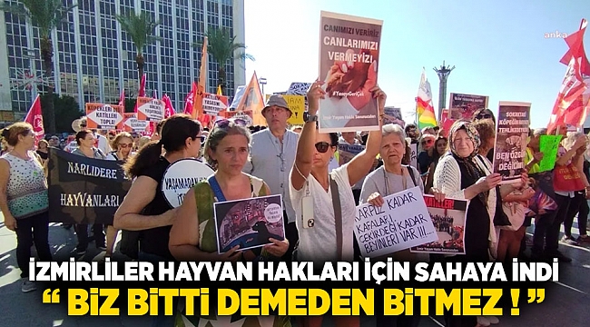 İzmirliler hayvan hakları için meydana indi: Biz bitti demeden bitmez