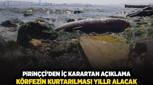 Pirinççi'den iç karartan açıklama: Körfezin kurtarılması yıllar alacak!